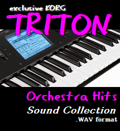 Product picture Exclusive Korg Triton Hits Collection