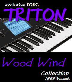 Product picture Korg Triton Wood Wind Collection